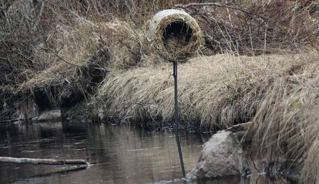 DUCK TUBES Man kan med enkla medel säkra ruvningsperioden genom att tillverka s k duck tubes, andholkar Duck tubes enkelt sätt att bidra till säkrare ruvningsperiod och ökad kläckningsprocent