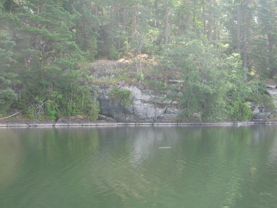 Furusjön Furusjön, Åmåls kommun, inventerades 2016-07- 07. I sjön finns ett livskraftigt bestånd av flodkräfta (Astacus astacus).