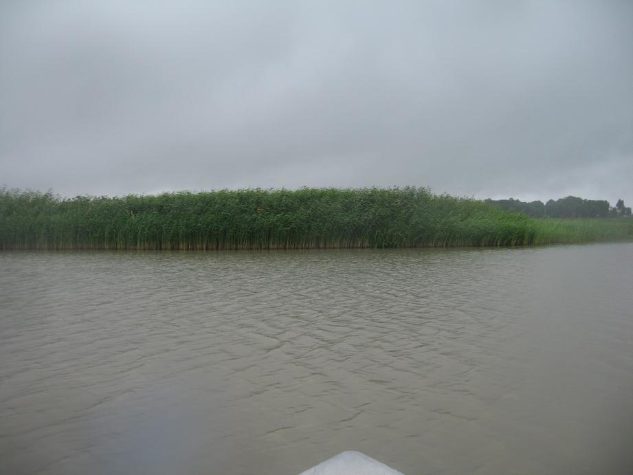 Hullsjön Hullsjön,Trollhättans kommun, inventerades 2016-07-11. Sjön inventerades av Örnborg & Kyrkander senast 2007 med dåvarande metodik kallad Basinventering i sjöhabitat.