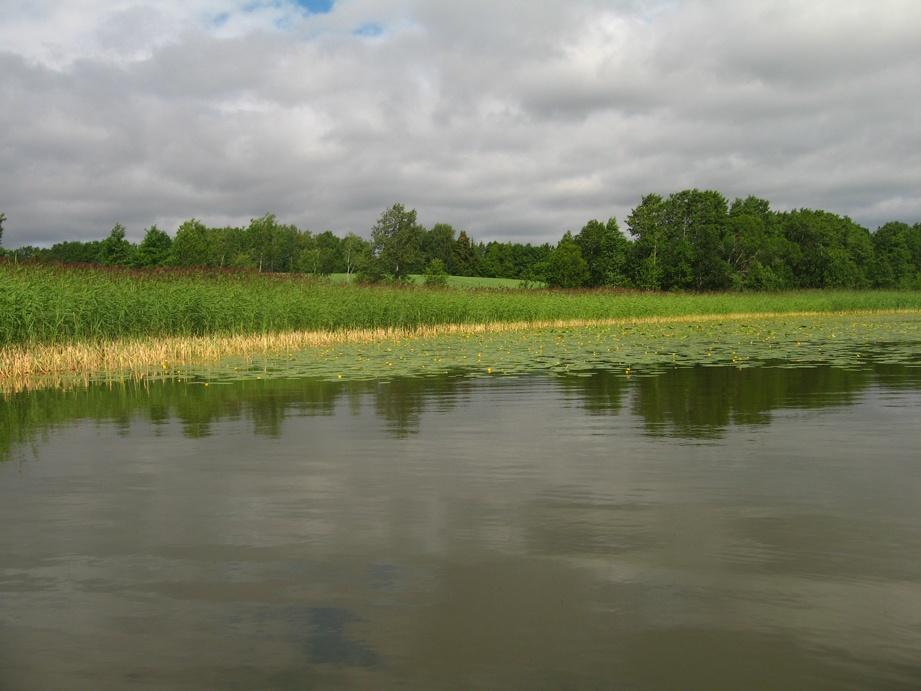 Kolungen Kolungen, Melleruds kommun, inventerades 2016-07-08.