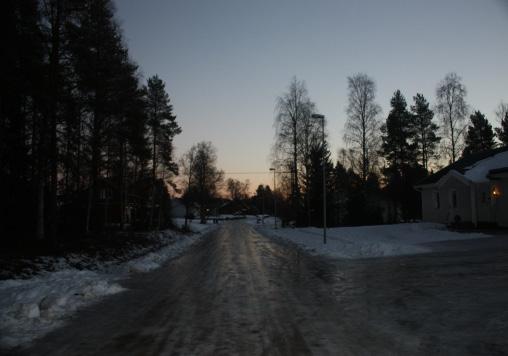 Sedan listade alla vad de själva kan bidra med för ökad trygghet. Vi får inte glömma allt det positiva Alla hälsar och säger HEJ! Hundlatriner som vi själva tömmer. Antnäs upplev som mycket rent.