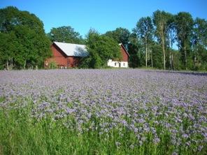 Utlandskontakter