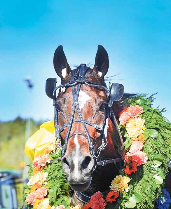 Program: 26-28 september, Scandic Infra City, Upplands Väsby Hästar senast på plats kl. 13.00 Första utrop torsdag kl. 19.00 Första utrop fredag kl. 18.00 Första utrop lördag kl. 20.