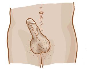 av smeksex, gnidsex och