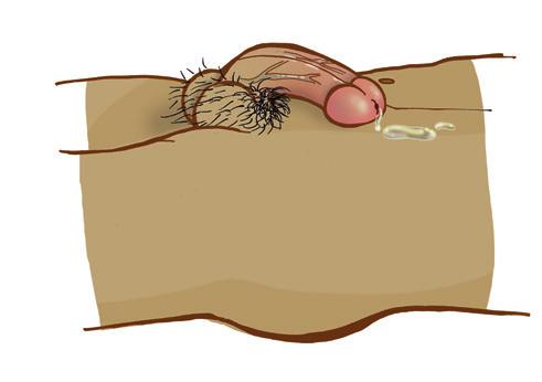 dildo + vagina Under Clara