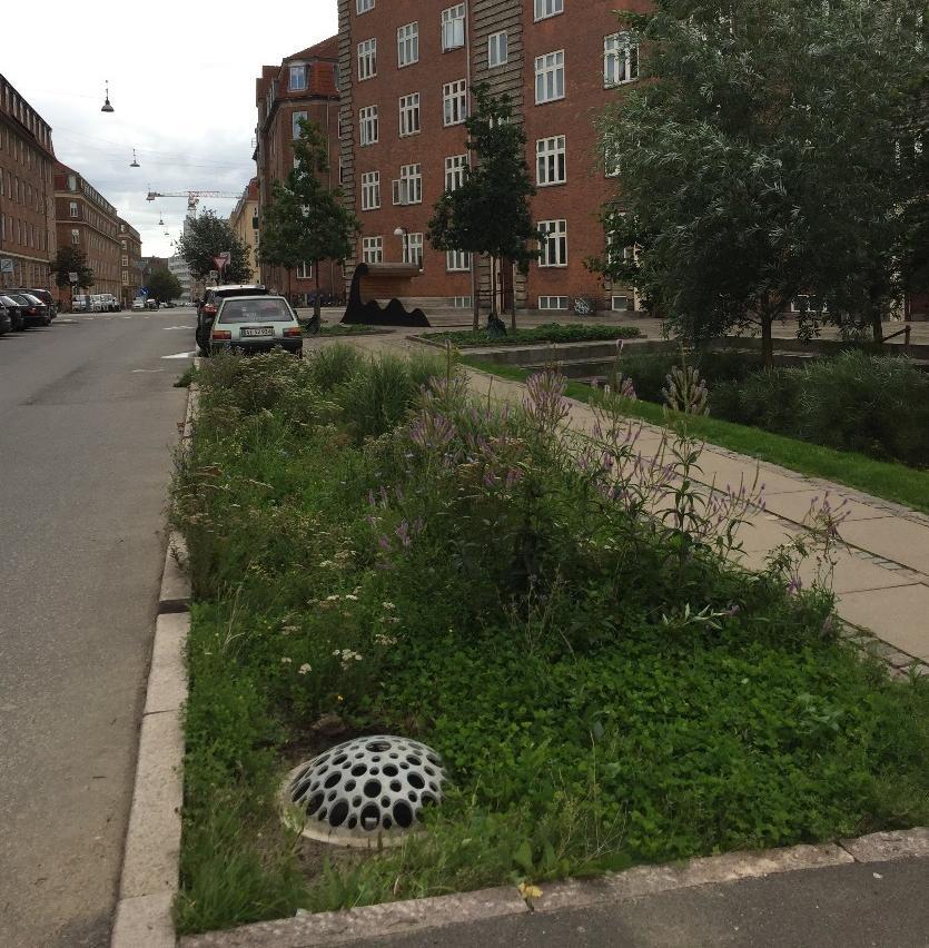 Figur 25. Exempel på växtbädd med passage för vatten i kantsten mot gata (Ramboll). Figur 26. Exempel på rännor över gatusektion (Ramboll). 8.3.2.5 Öppet magasin: park Parken föreslås utformas med ett öppet dagvattenmagasin i söder.