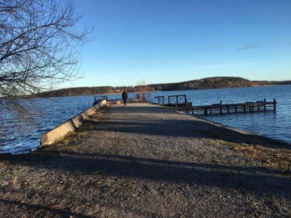 Vägar och andra platser som idag är planlagda som allmän plats, eller p.g.a. strandskyddslagstiftningen måste bli allmän plats vid ny detaljplan, eller där det av annan anledning bedöms gagna det allmänna intresset, kommer att planläggas som allmän plats.