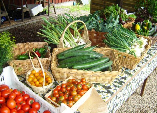 Många ekologiska växthusodlingar säljer sina produkter på den lokala marknaden.