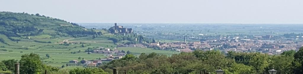 Torsdag 14 maj Vi lämnar Verona efter frukost och ger oss av österut mot Soave. Strax ovanför den medeltida staden så ligger producenten Ronccolatos vinodlingar.