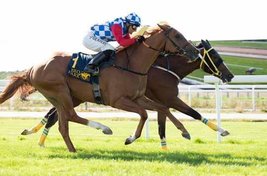 Ascot Brass Breeders Trophy Juvenile Secured By Rapid Midnight Oil 9 Midnight Oil (e Wilshire Boulevard) är ytterligare en fin tvååring signerad Patrick Wahl.