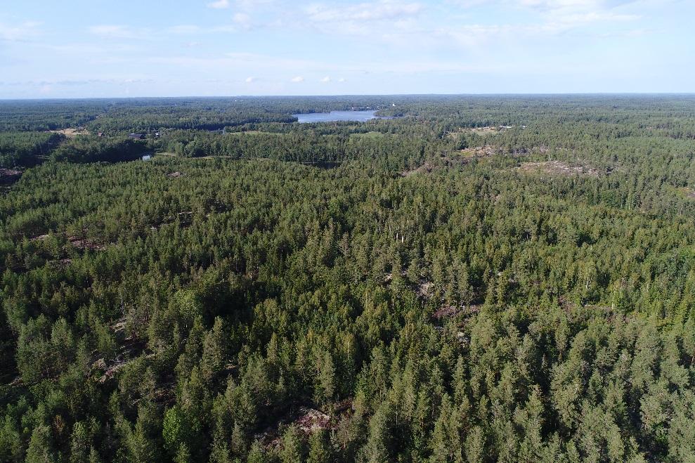 Västervik Getterum 3:19 Västervik Getterum 3:19 Om fastigheten Typ: