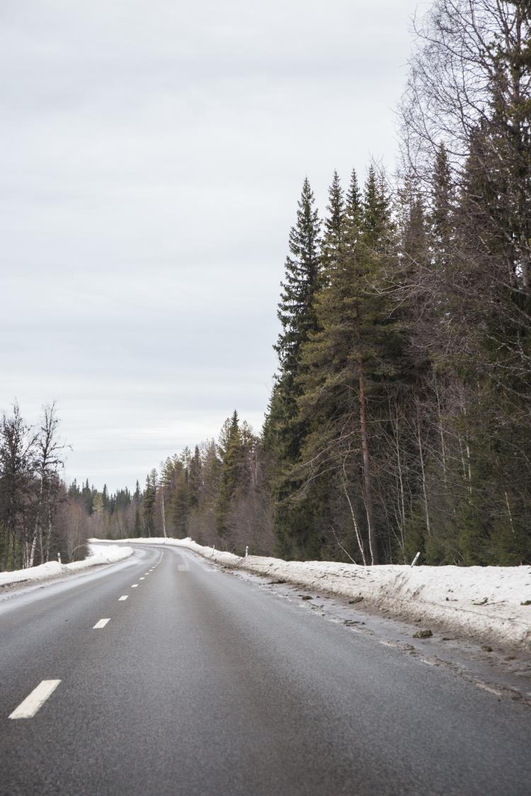 Vad gjorde vi?