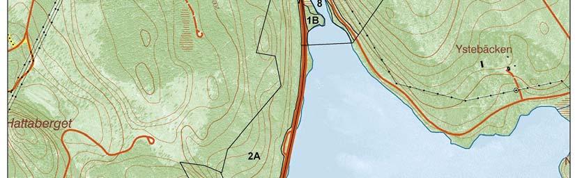 lövskog 3) övergivna åkrar