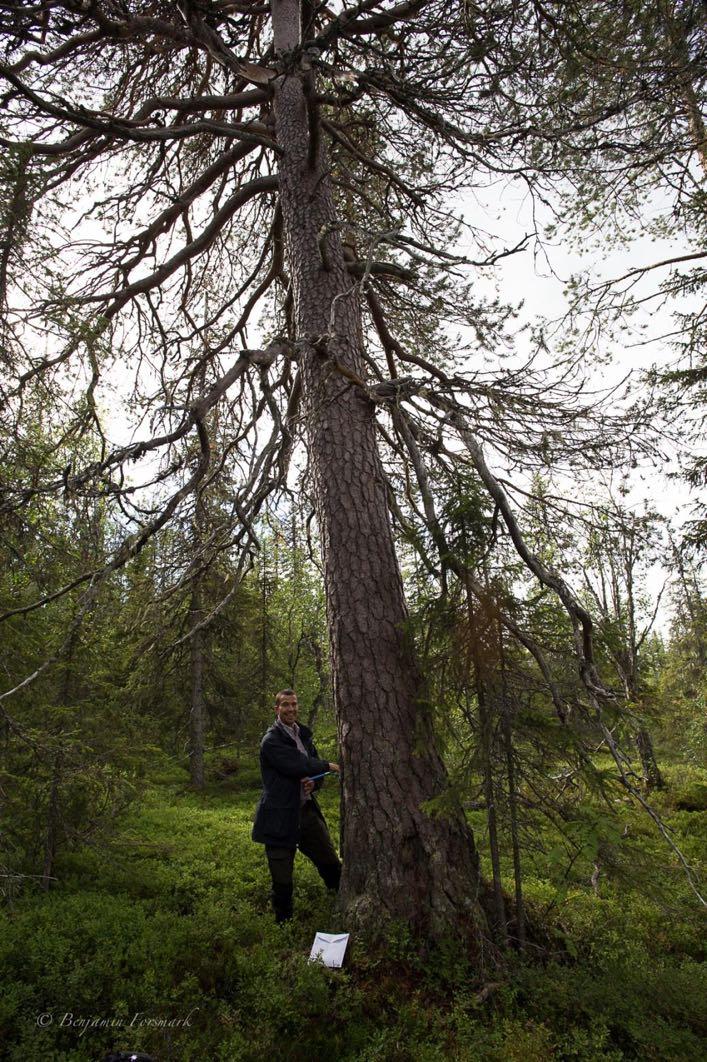 Abmoberget Text: Patrik Nygren förutom avsnitt 6.6 och 6.7 som skrivits av Lill Eilertsen.