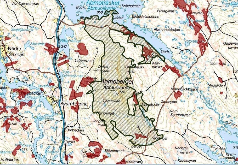 3. Kartor: 3.1. Storområdet på 1896 ha avgränsat med grön linje.