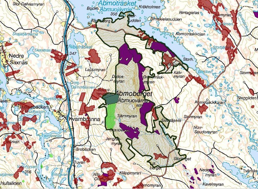 Storområdet där Sveaskogs nyckelbiotoper är markerade med lila färg.