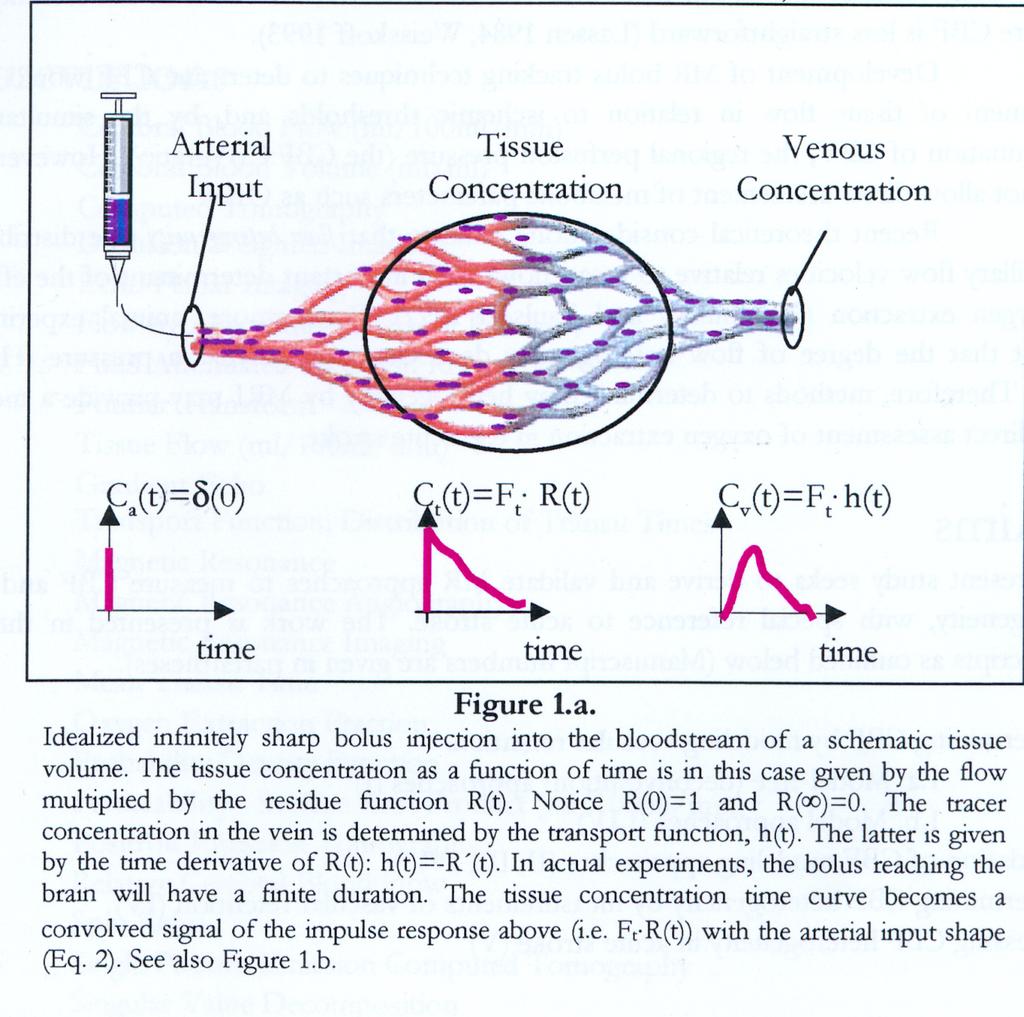 Central volume principle (Meier et