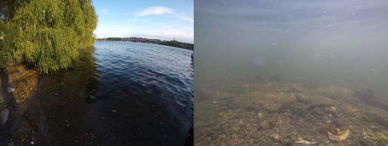 Bottensubstratet bestod av grus, sten och sand med inslag av grovdetritus och fin död ved. Vattenvegetation noterades endast i form av påväxtalger.