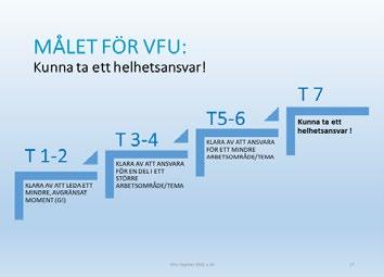 Bestäm tillsammans vad som ska övas och när, samt när studenten ska prövas. Återkom regelbundet till dokumenten för att stämma av och sätta upp nya delmål. 6.