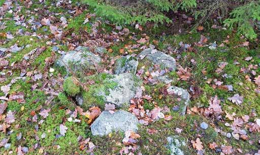 Gränsröset (utredningsobjekt 1) ligger i den västra spetsen av utredningsområdet. Det är i det närmaste cirkulärt, cirka 1,3 meter i diameter och delvis övertorvat (figur 6).