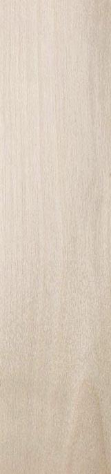 TRÄ / WOOD / HOLZ Björk / Birch / Birke Ask / Ash / Asche Ele / Oak / Eiche Standardlaminat /