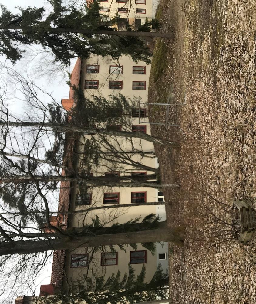 Naturvärdesinventering inklusive bedömning av ekosystemtjänster inom