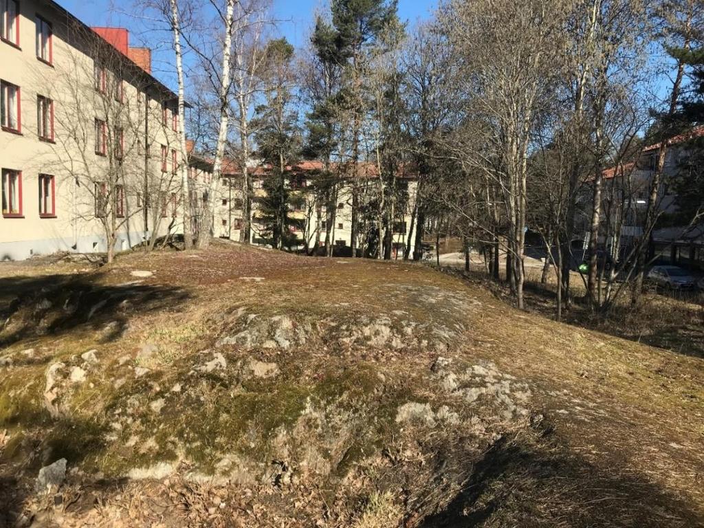 3-4). Figur 3-2. Hällmark med berg i dagen.