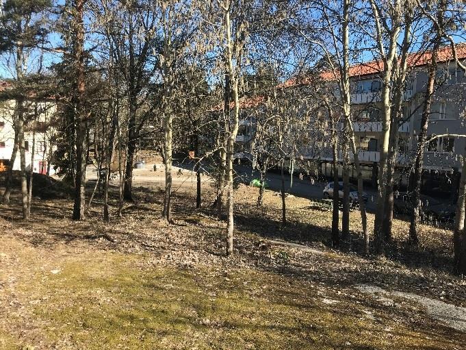 Figur 4-1. Gles blandskog och mossbeklädd hällmark inom delområde A.