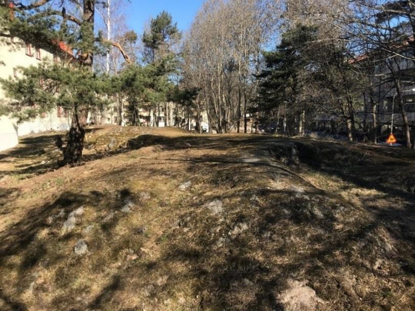 Området utgörs i söder till huvuddel av moss- och gräsbeväxt hällmark med synligt berg i dagen (Figur 4-4).