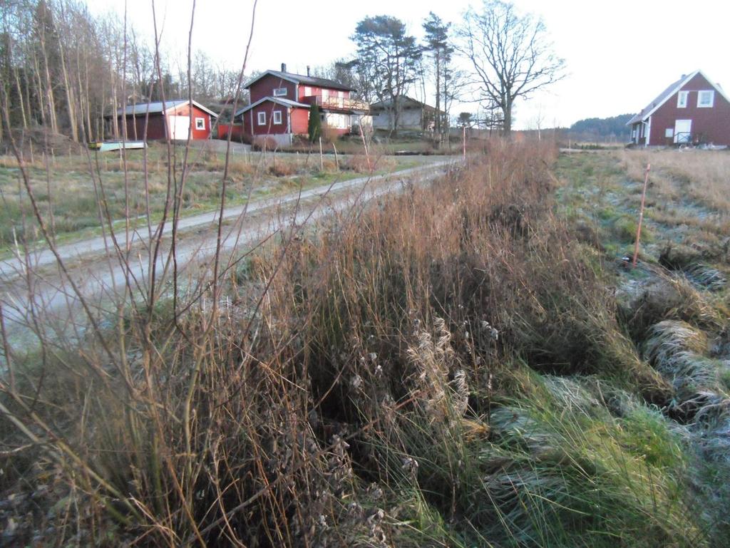 Stjärnekullevägen Lokalnummer: 4 Beskrivning: Öppet dike vid vägkant, gränsar även mot åkermark.