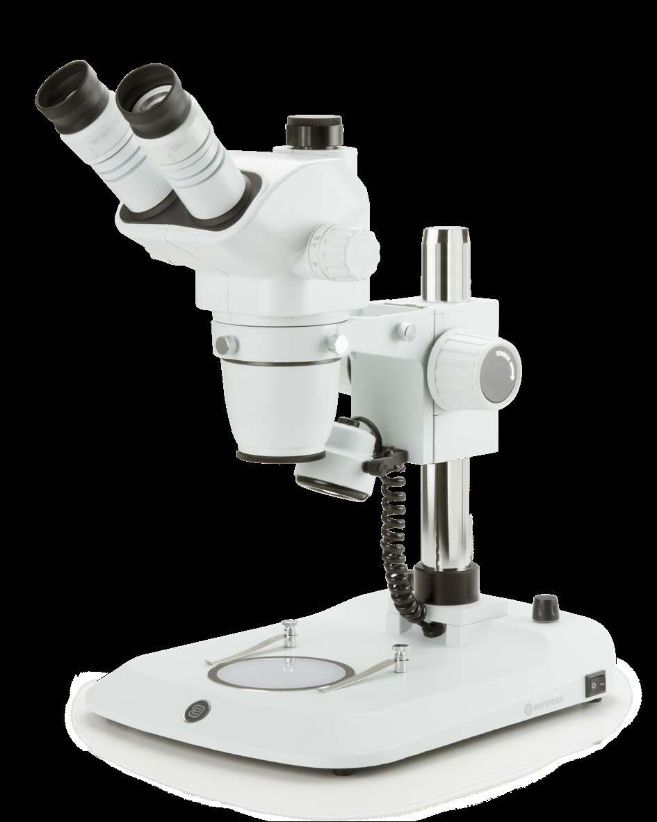 (-B) Weight (kg) NZ.1902-P-ESD 5.