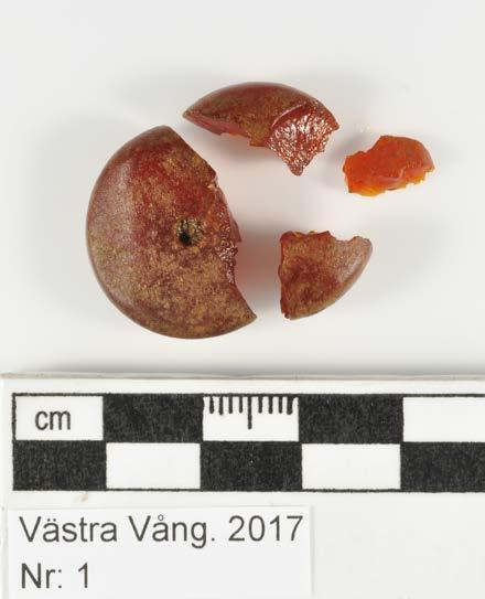 Ort/Anläggning: Västra Vång 2017 Fynd nr: Kons nr: 1 Kontaktperson: Mikael Henriksson, Blekinge Museum Datum in: 2017-09-08 Datum ut: 2018-01-21 Föremål: Pärla i delar Material: Bärnsten