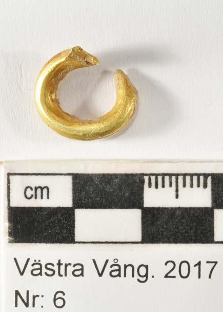 Ort/Anläggning: Västra Vång 2017 Fynd nr: Kons nr: 6 Kontaktperson: Mikael Henriksson, Blekinge Museum Datum in: 2017-09-08 Datum ut: 2018-01-21 Föremål: Ring, ämne?