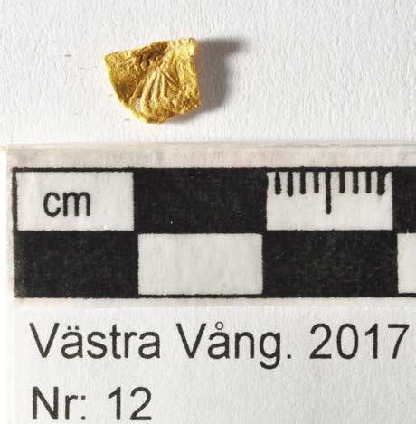Ort/Anläggning: Västra Vång 2017 Fynd nr: Kons nr: 12 Kontaktperson: Mikael Henriksson, Blekinge Museum Datum in: 2017-09-08 Datum ut: 2018-01-21 Föremål: Mynt, del av?