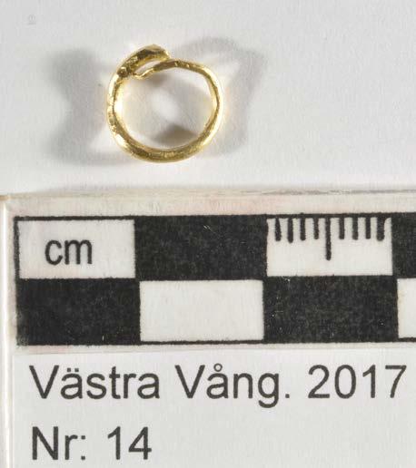 Ringen efter konservering. Reflektion: Delen påminner på något sätt om ett spillmaterial från en hantverkare, då den möjligtvis varit för kort för att hantera.
