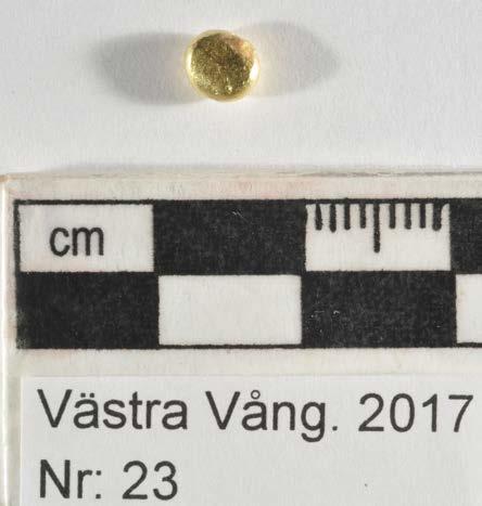 Reflektioner: På något sätt så kan föremålet vara ett avklipp från en ring