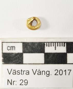 Ort/Anläggning: Västra Vång 2017 Fynd nr: Kons nr: 29 Kontaktperson: Mikael Henriksson, Blekinge Museum Datum in: 2017-09-08 Datum ut:
