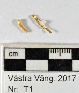 Ort/Anläggning: Västra Vång 2017 Fynd nr: Kons nr: T1 Kontaktperson: Mikael Henriksson, Blekinge Museum Datum in: 2017-10-13 Datum ut: 2018-01-21 Föremål: Fragment Material: Guld Antal: 1 Mått: Vikt