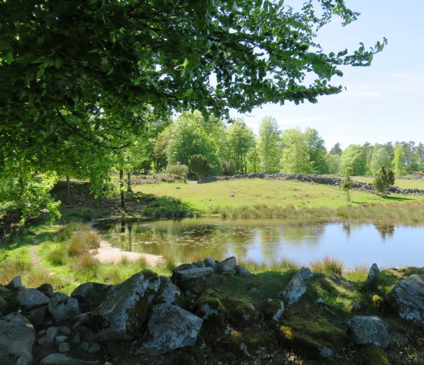 Att investera i viltvård och biologisk mångfald gynnar inte bara den lokala markägaren och jägaren. Hela samhället gynnas av detta då vi får ett artrikare och mer varierat landskap.