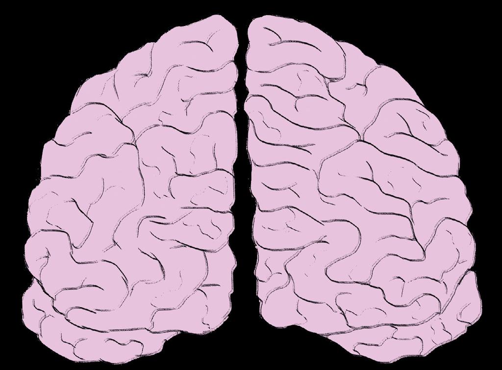 Hjärnan Analen Det är lätt att glömma att det viktigaste organet när det kommer till sex är just hjärnan. Hjärnan är det som gör att en känner lust eller inte lust, det är här bra-känslan bor.