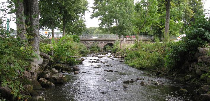 Fisk Nio lokaler elfiskade 213. Av dessa var det Hörbyån (pkt Ri71) som hade den högsta tätheten av småöringar (+). Tätheten av lax var som högst i Pinnån (pkt 46) och Kägleån (pkt 69).