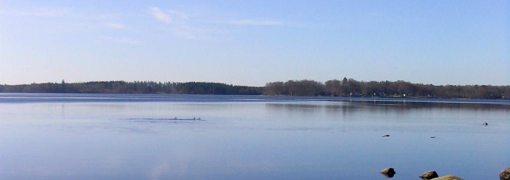 Hjuldjuren dominerade djurplanktonsamhällena i de fyra sjöarna, medan hinnkräftorna bara förekom i större mängd i Östra Sorrödssjön.