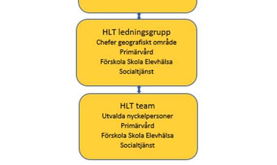 I HLT modellen bör därför mål och visioner samt konkreta samverkans mål definieras av styrgrupp/ledningsgrupp för området.