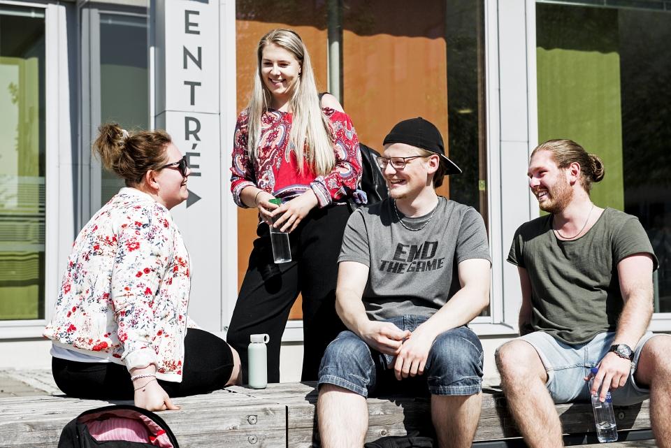 Bibliotekets studiestödjande funktion Framgångsrika studier