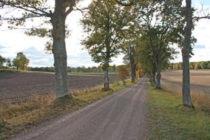 influensområdet: den öppna