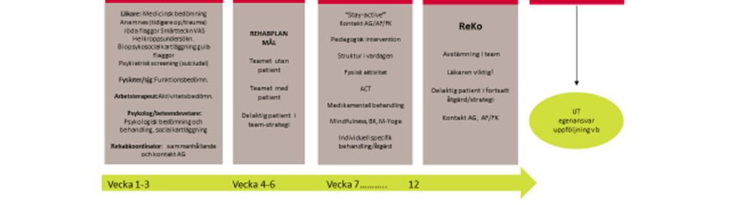 En referensgrupp av arbetsterapeuter sammankallandes i samråd med chefer från Rehab Söder och Samrehab.