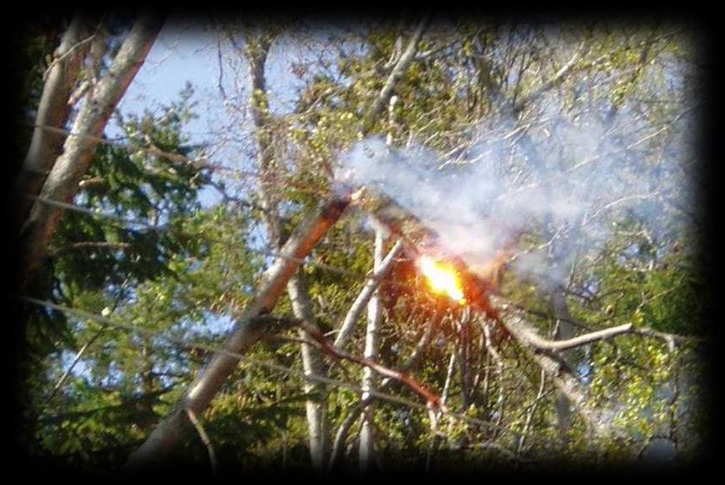 Regelstolpar av trä med oisolerad friledning 10 40kV Det har även diskuterats om trästolpars resistivitet och att det inte kan förelägga risk för strömgenomgång via avledning till jord via trästolpen.