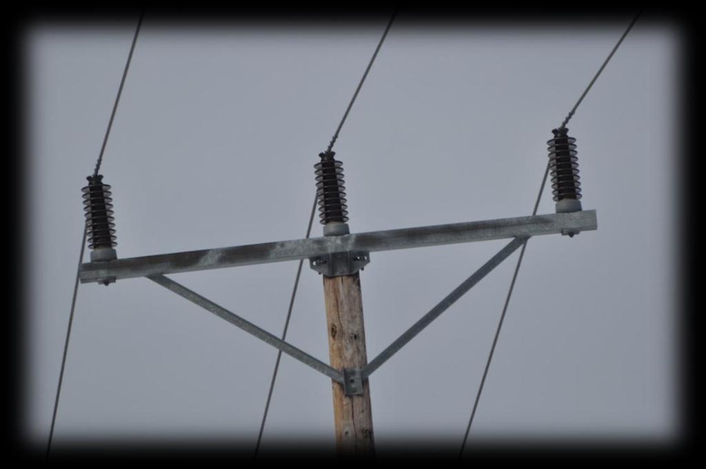 Kraftledningstyper med potentiell risk för strömgenomgång Regelstolpar med oisolerad friledning 10 40kV De kraftledningstyper där det tydligt kan identifieras risk för fågeldöd på grund av