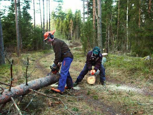 Bilaga 2. Hantering av vindfällen inom Sveaskogs ekoparkar Sveaskogs ekoparker skall omfattas av ekoparksavtal, vilka är en form av naturvårdsavtal som tecknas med Skogsstyrelsen.
