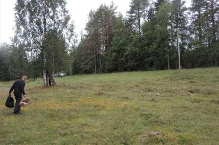 45. Hackgården i Nederberga - Orsa Månghundraårig slåtterkontinuitet. Av tre små ängsrester slåttras nu endast en av Naturskyddsföreningen i Orsa. Platsens läge, se kartan ovan.